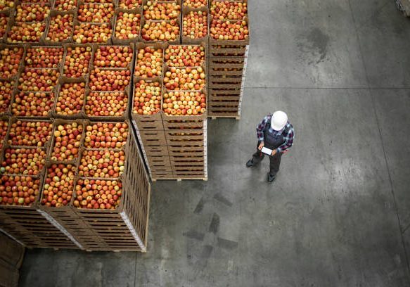 istockphoto-1317777715-612x612 Top view of worker standing by apple fruit crates in organic food factory warehouse.