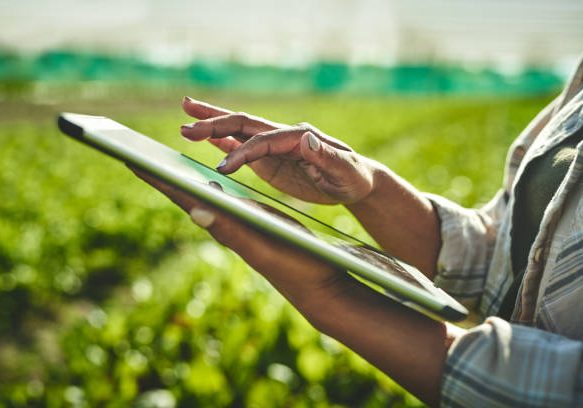 Tapped into the latest farming techniques Tapped into the latest farming techniques