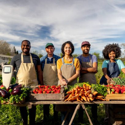 istockphoto-1939973343-612x612 Happy group of Latin American farmers selling their produce at a Farmer's Market and looking at the camera smiling