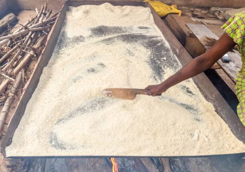 istockphoto-2097098659-612x612 The roasting Cassava grits in the process of making  Gari, a West African popular food. Shot at Ikorodu in Lagos State of Nigeria on 13 March 2024.