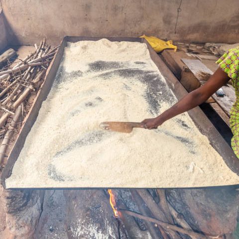 istockphoto-2097098659-612x612 The roasting Cassava grits in the process of making  Gari, a West African popular food. Shot at Ikorodu in Lagos State of Nigeria on 13 March 2024.